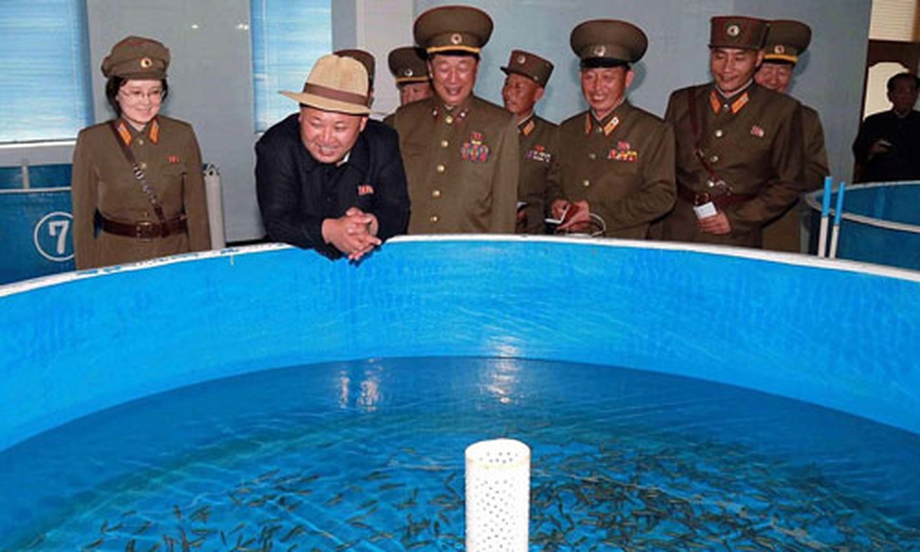 Lanh dao Kim Jong-un thich thu nuoi ca hoi-Hinh-2
